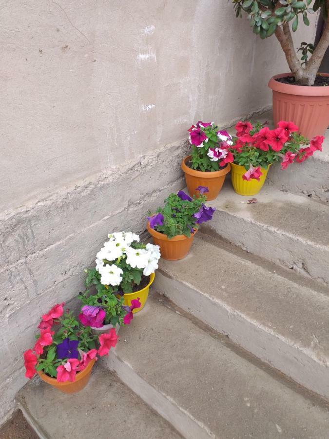 Bed and Breakfast Ecoulan Kochkor Екстер'єр фото